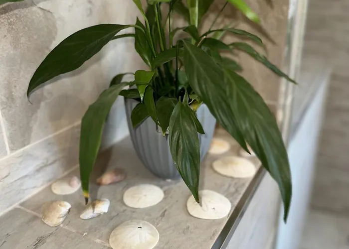 Family Burriana Nerja